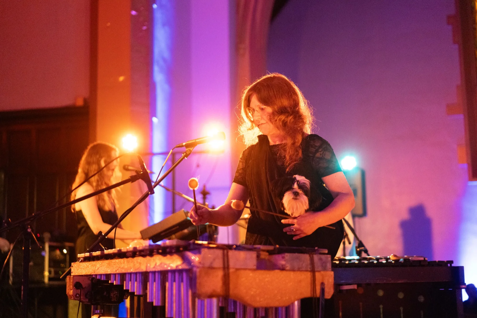 Regan Heckscher playing vibraphone with mallets while holding a small white dog, a bandmate on keyboard alongside.